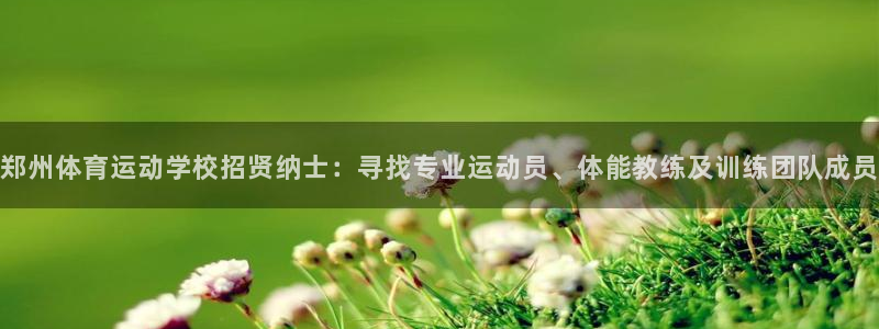 球宴体育比分：郑州体育运动学校招贤纳士：寻找专业运动员、体能教练及训练团队成员