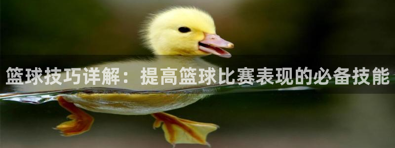 球宴体育app