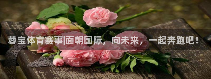 球宴体育iOS下载入口