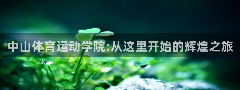 球宴体育app官方下载安卓