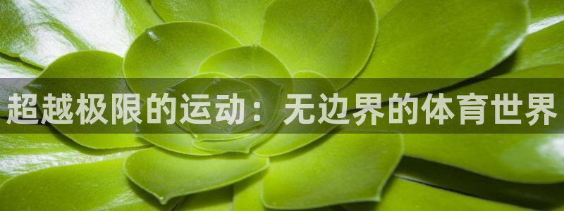 球宴体育网页：超越极限的运动：无边界的体育世界