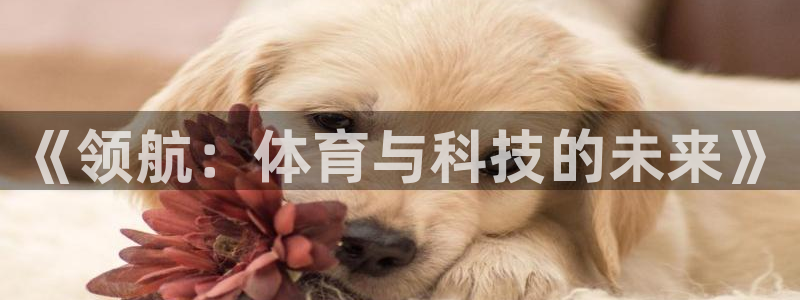 球宴体育：《领航：体育与科技的未来》