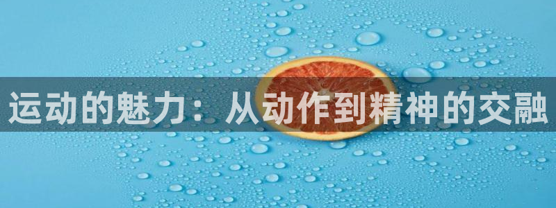 球宴体育iOS最新版本更新内容