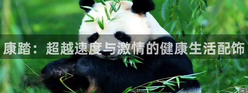 球宴体育下载最新版本更新内容