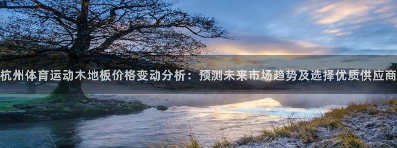 球宴体育