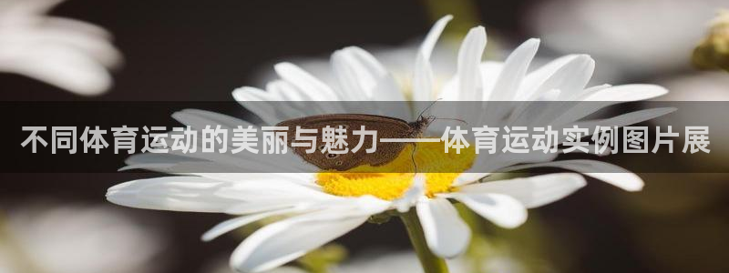 球宴体育官方