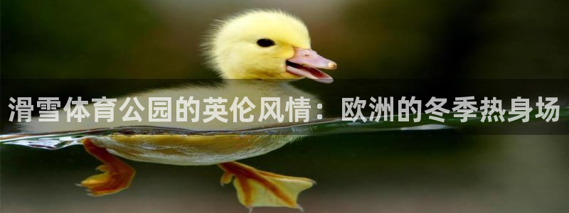 球宴体育app官方下载安卓